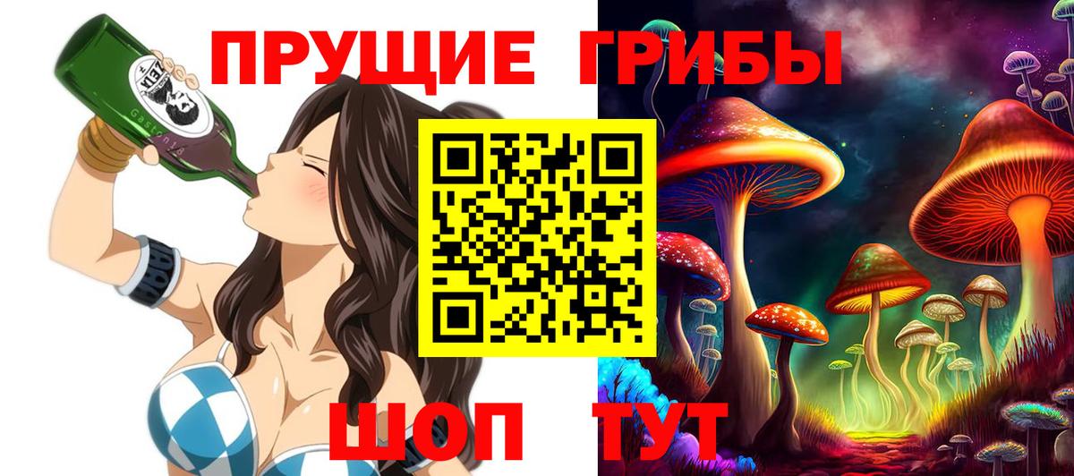 Елец  Галлюциногенные грибы Psilocybine cubensis  Вход с VPN 